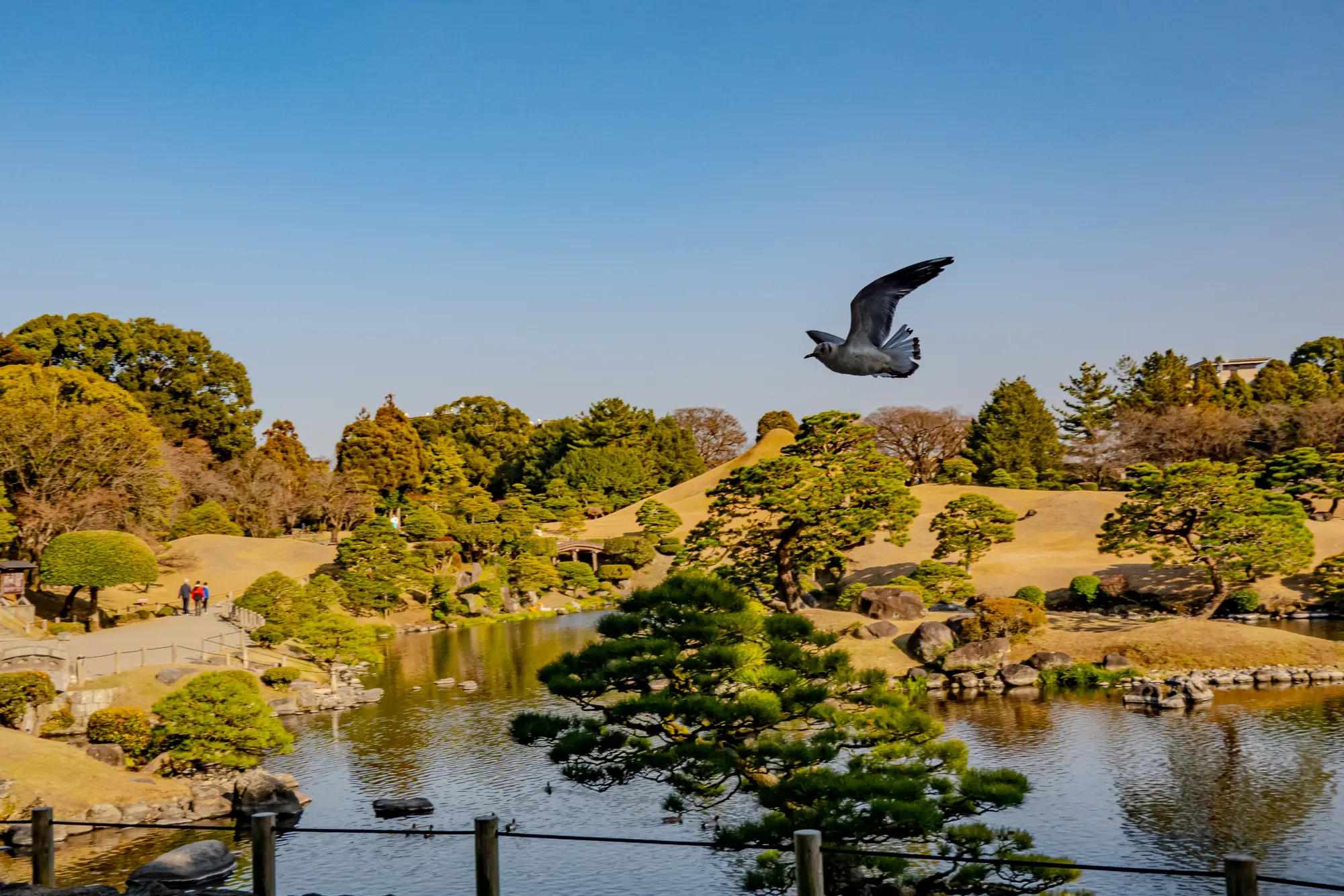 What I Lost and Gained: Two Years as an Immigrant in Japan