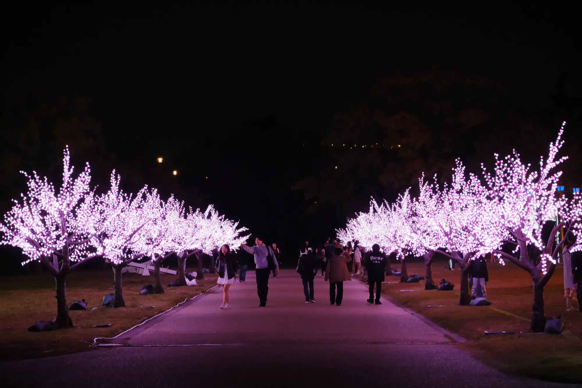 Tokyo vs. Osaka: Finding Your Perfect City in Japan