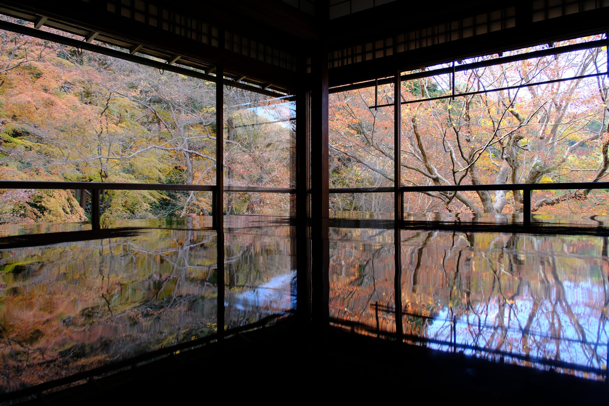 From China-to-Japan to Japan-to-the-World: My 2025 E-commerce Retrospective